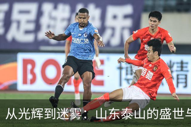 从光辉到迷雾：山东泰山的盛世与衰落